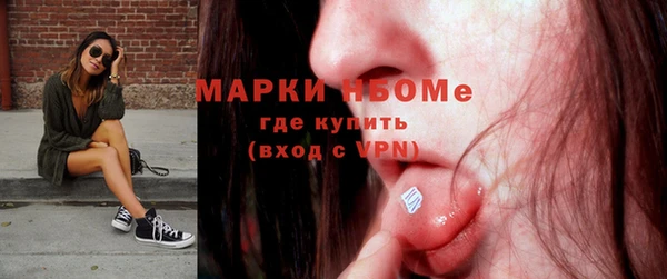 ешки Алексин