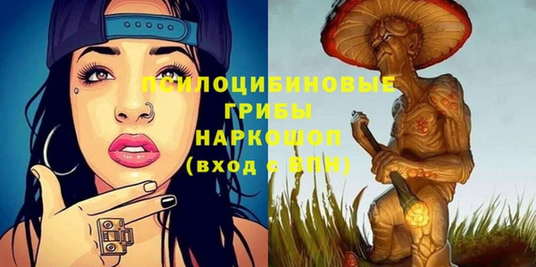 ешки Алексин