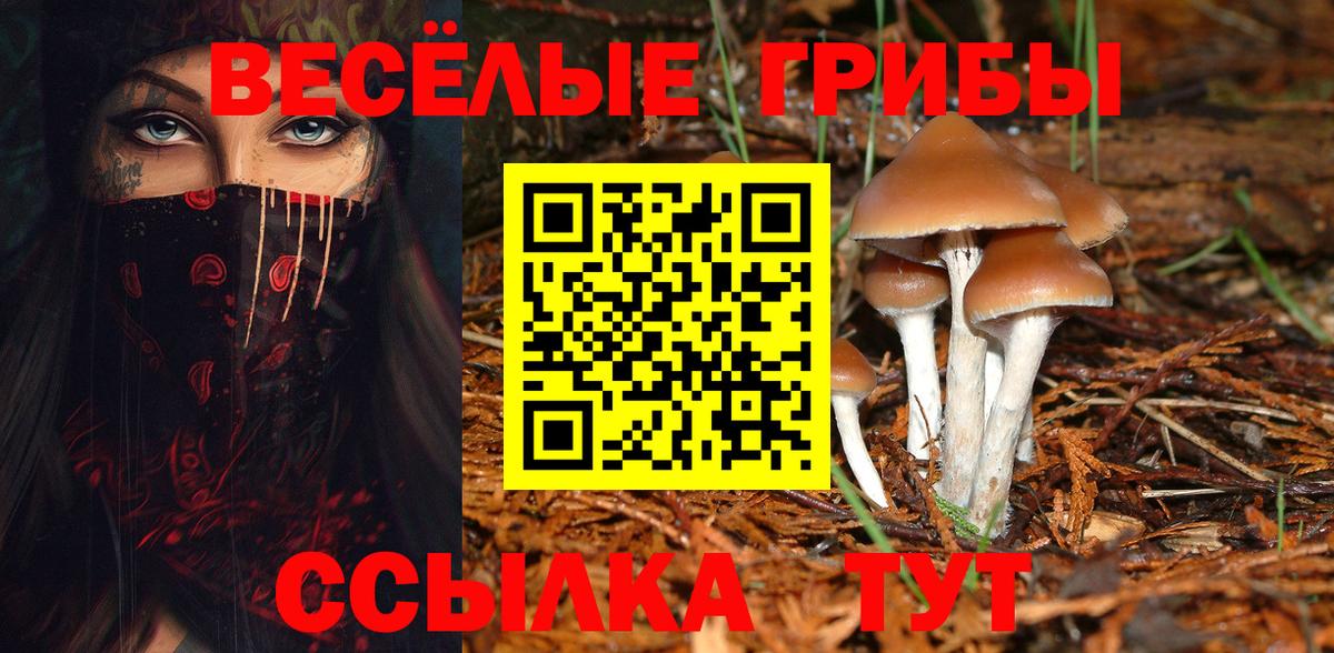 Галлюциногенные грибы мухоморы  Вход с VPN  Искитим  Псилоцибиновые грибы мухоморы 